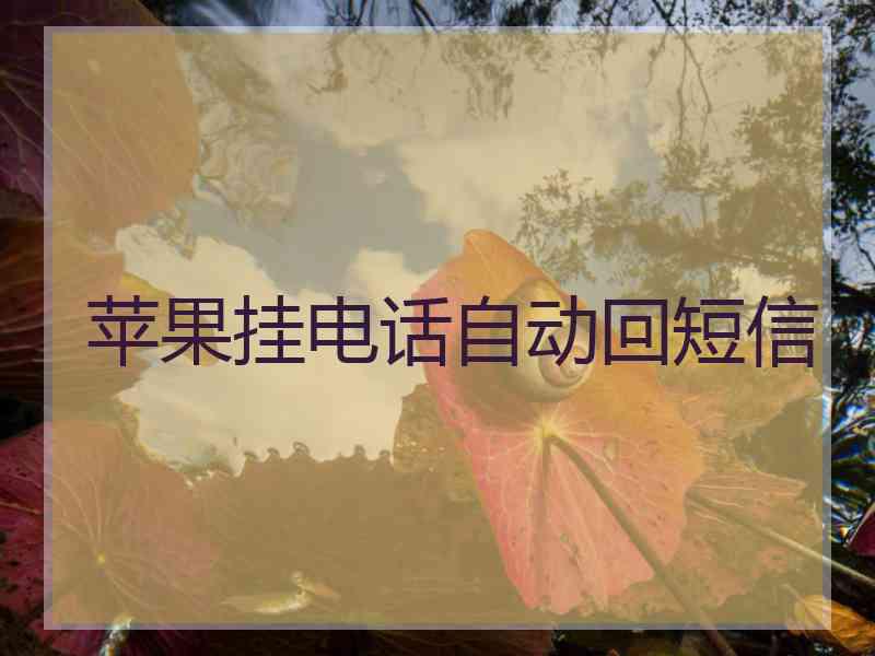 苹果挂电话自动回短信