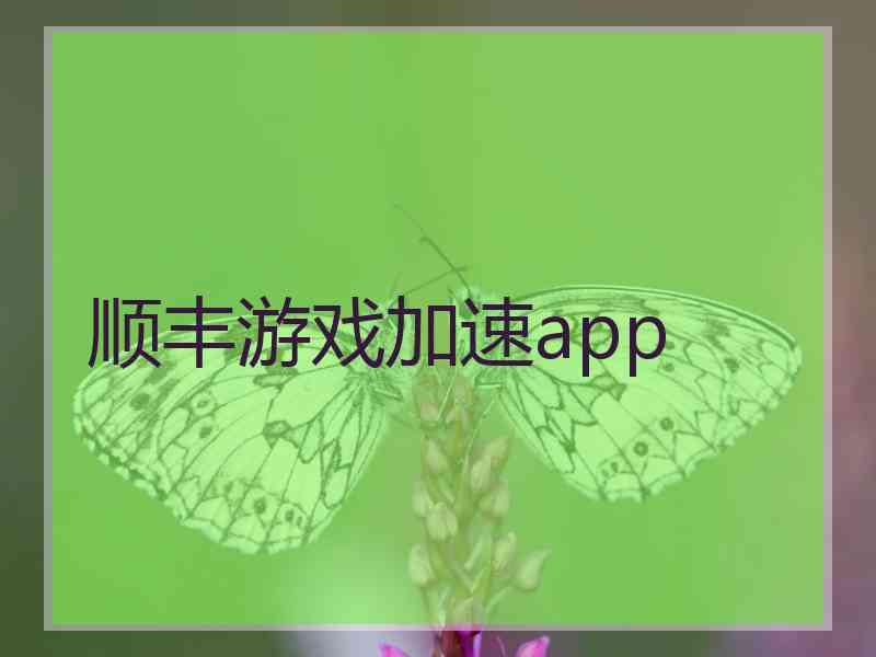 顺丰游戏加速app