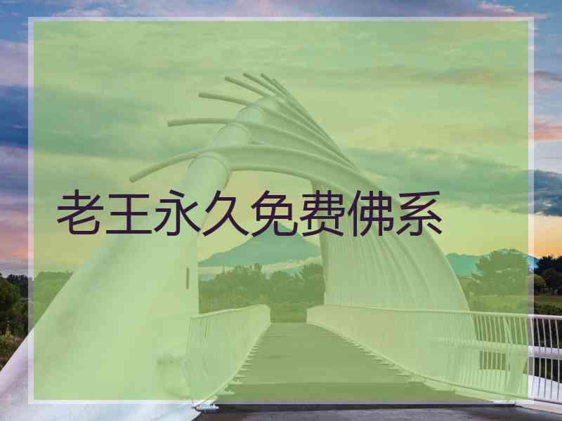 老王永久免费佛系
