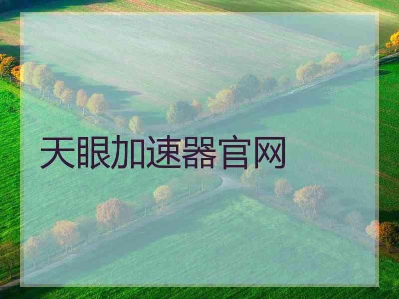 天眼加速器官网