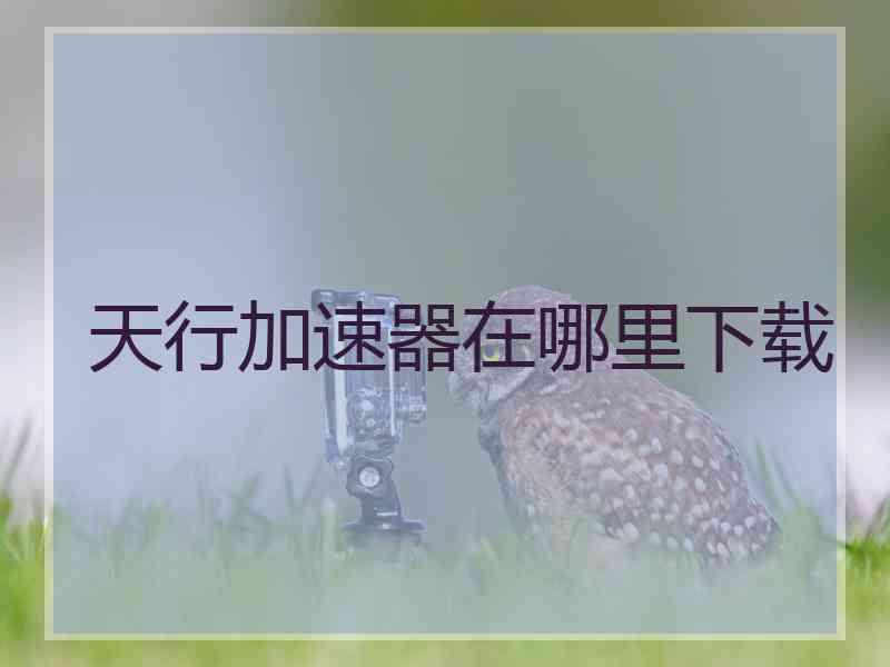 天行加速器在哪里下载