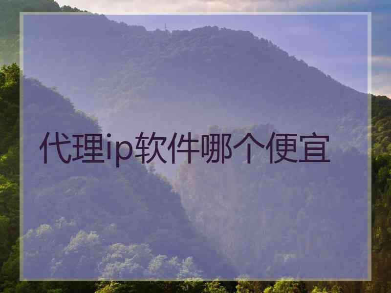 代理ip软件哪个便宜