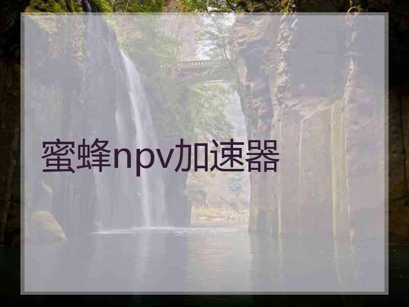 蜜蜂npv加速器