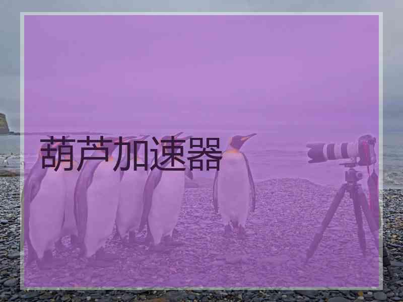 葫芦加速器