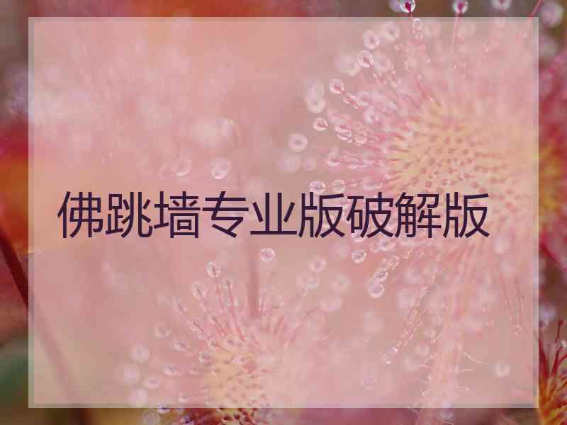 佛跳墙专业版破解版