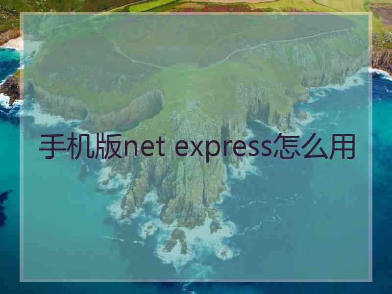 手机版net express怎么用