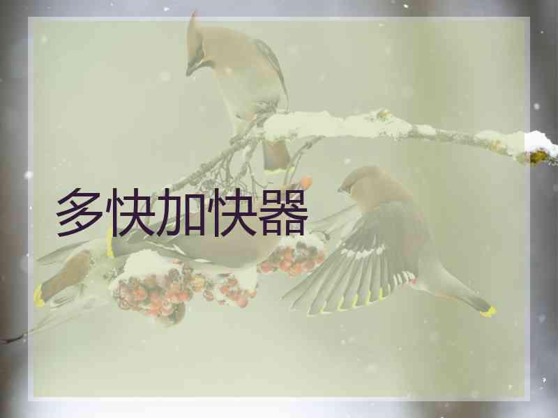 多快加快器