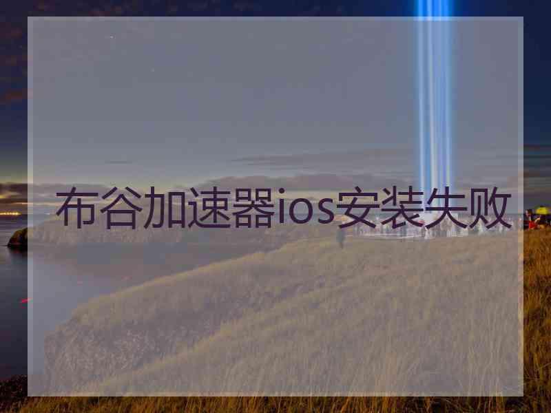 布谷加速器ios安装失败