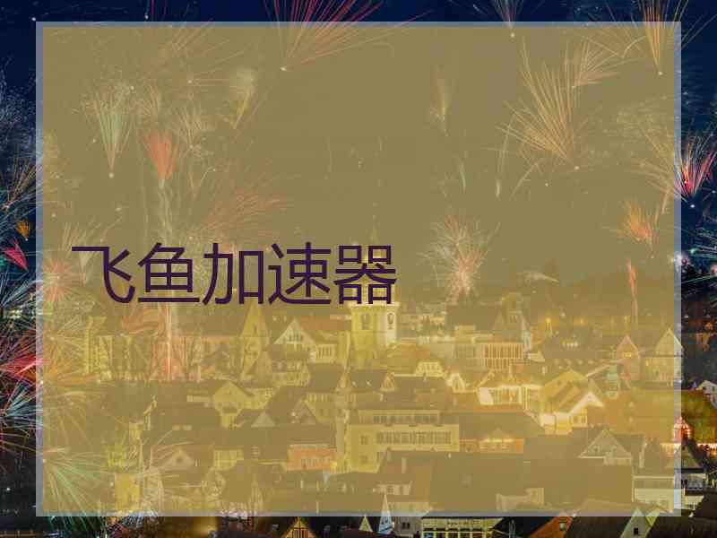飞鱼加速器