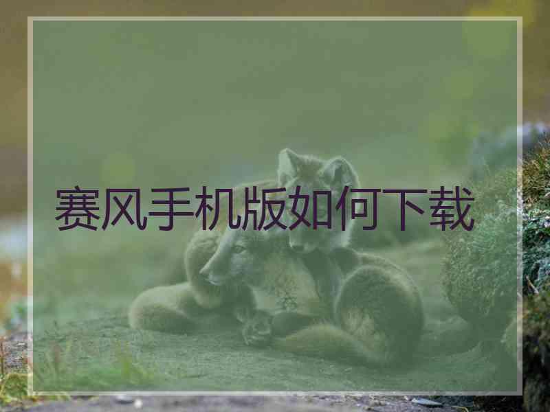 赛风手机版如何下载
