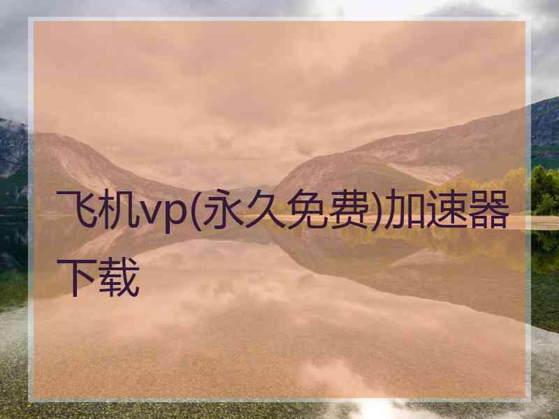 飞机vp(永久免费)加速器下载