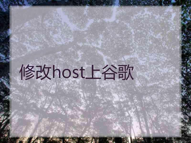 修改host上谷歌
