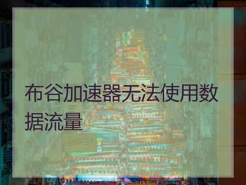 布谷加速器无法使用数据流量