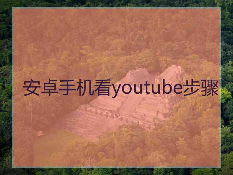 安卓手机看youtube步骤