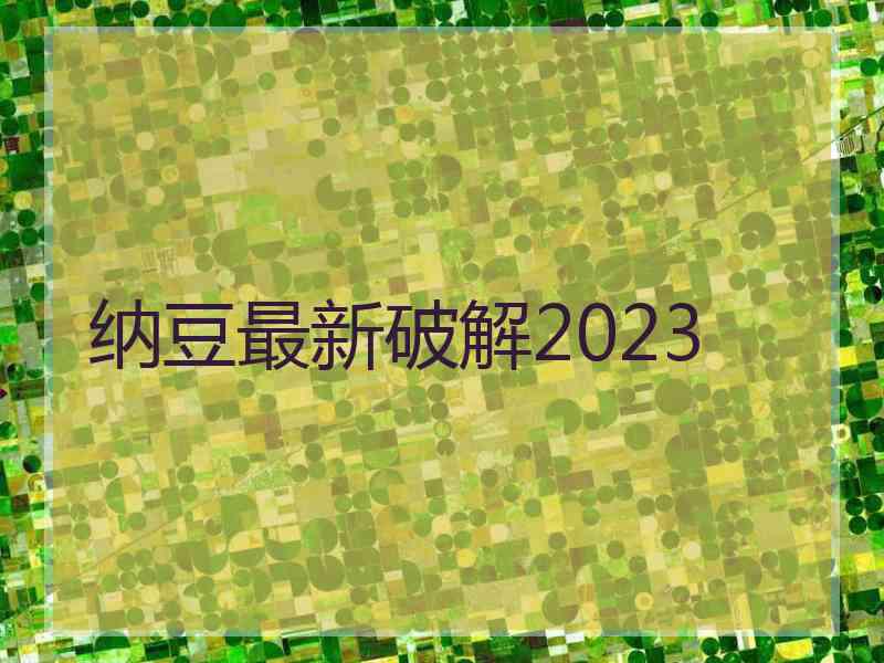 纳豆最新破解2023