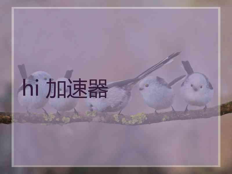 hi 加速器