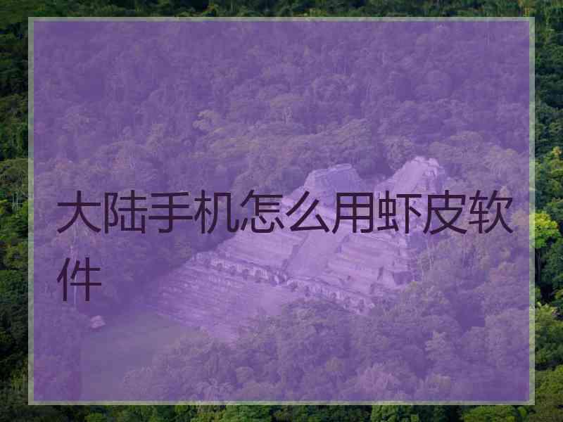 大陆手机怎么用虾皮软件