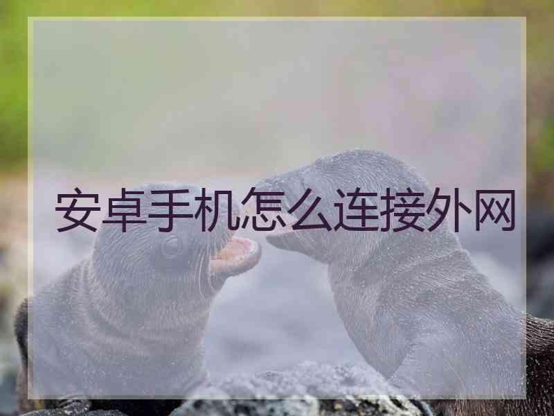 安卓手机怎么连接外网