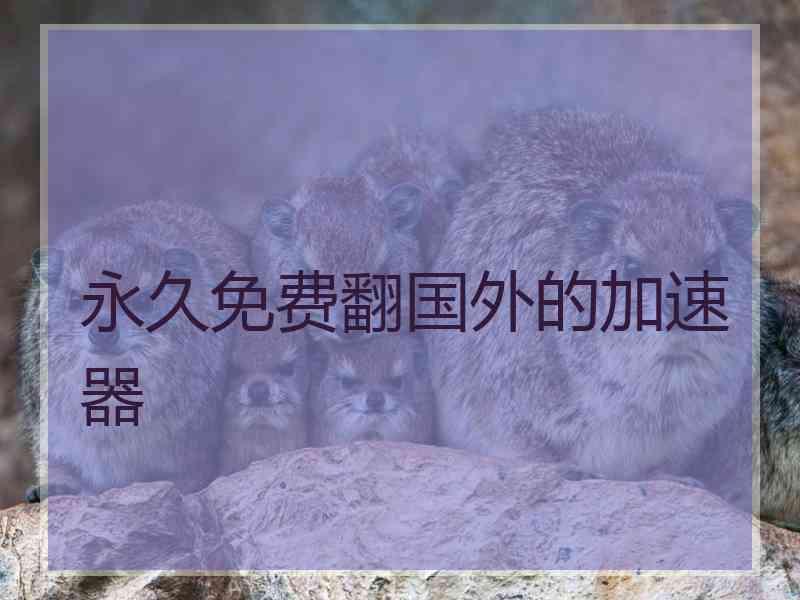 永久免费翻国外的加速器