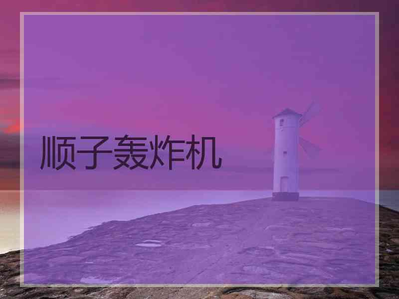 顺子轰炸机