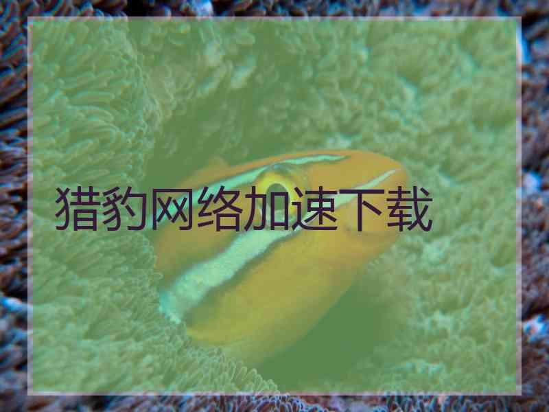 猎豹网络加速下载