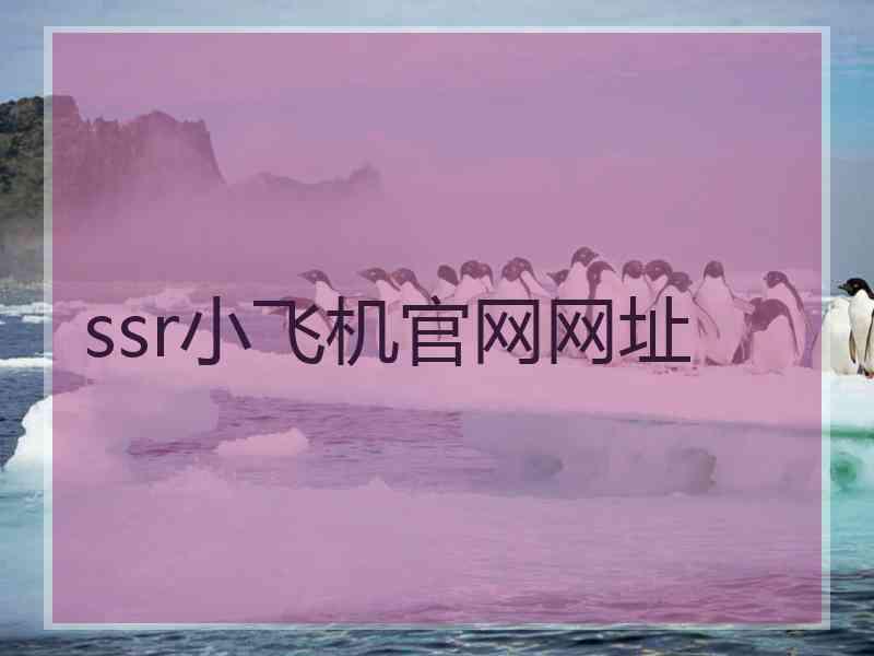 ssr小飞机官网网址