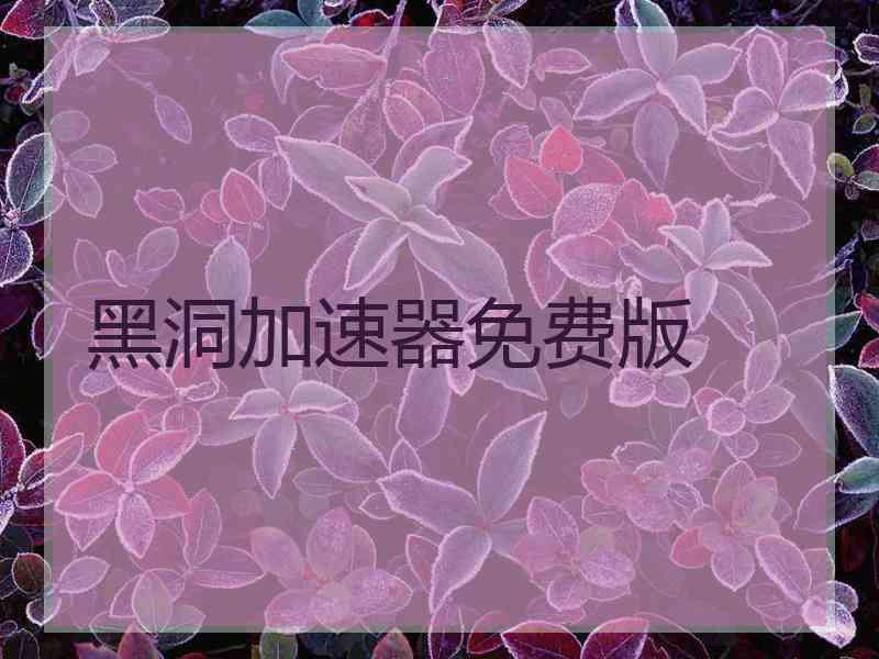 黑洞加速器免费版