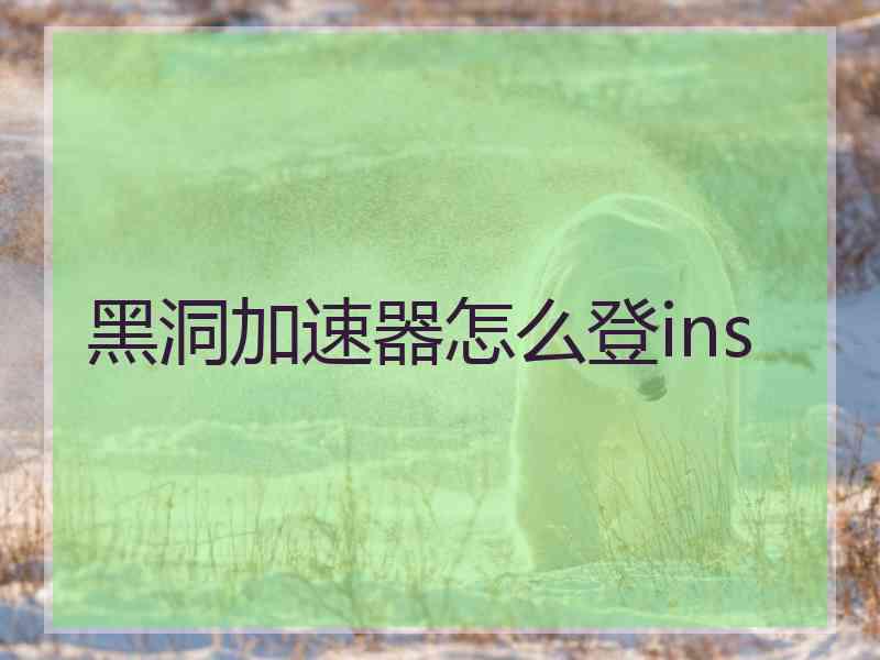 黑洞加速器怎么登ins