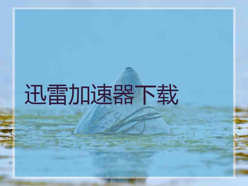 迅雷加速器下载