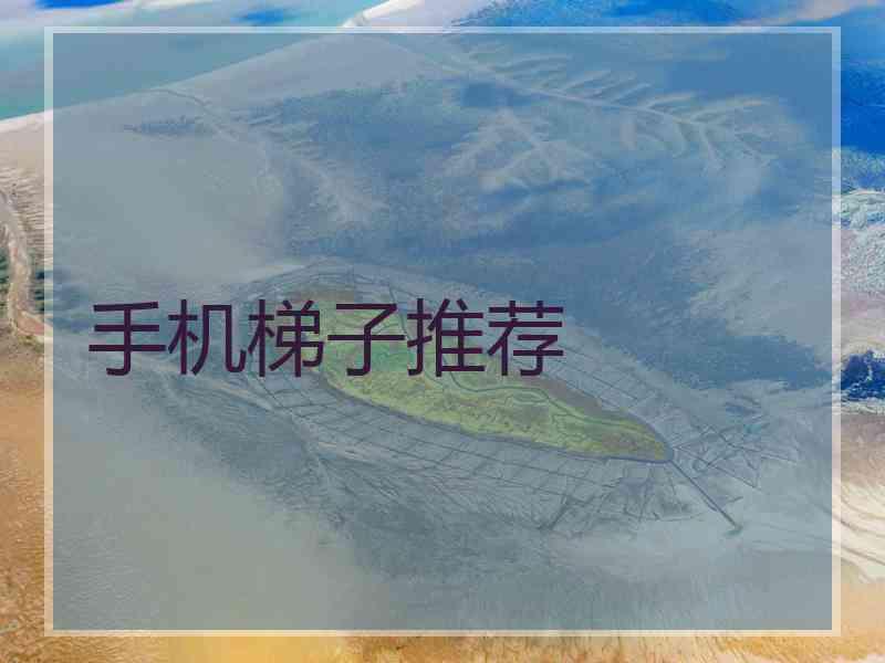手机梯子推荐