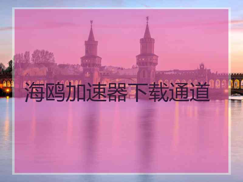 海鸥加速器下载通道