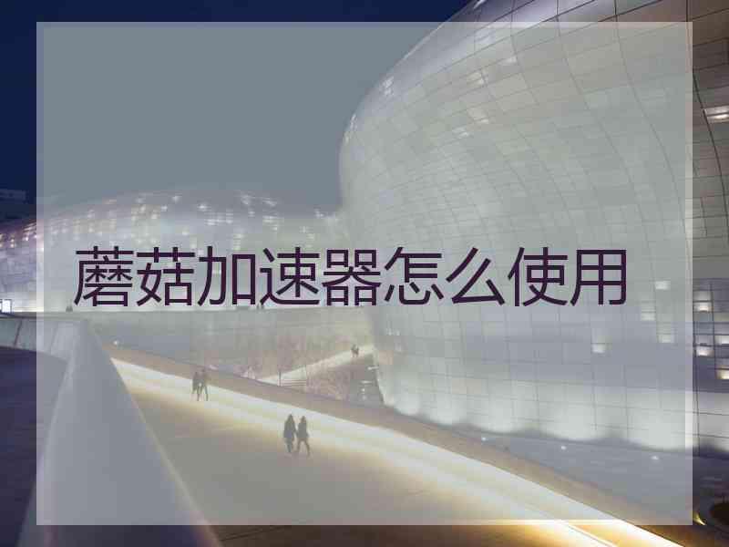 蘑菇加速器怎么使用