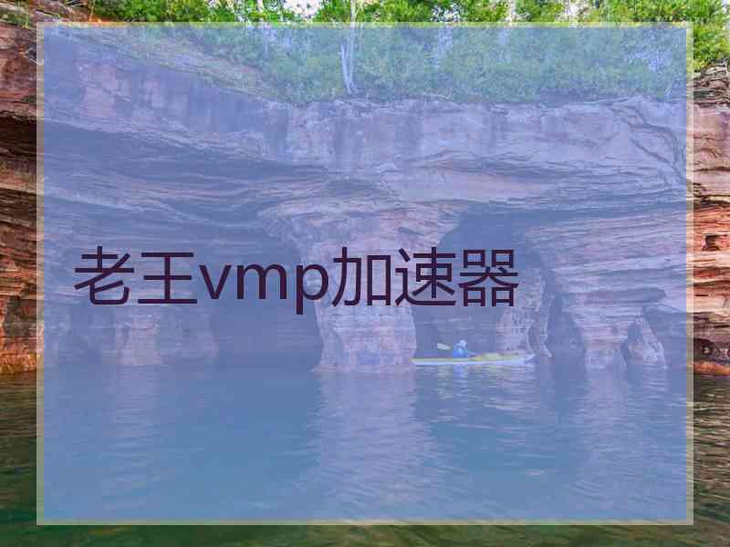 老王vmp加速器