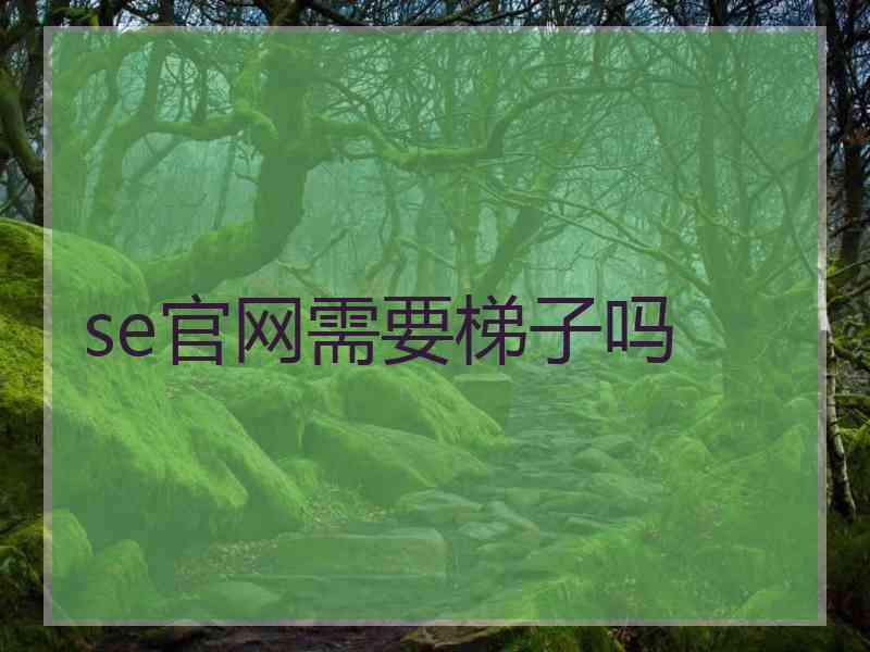 se官网需要梯子吗