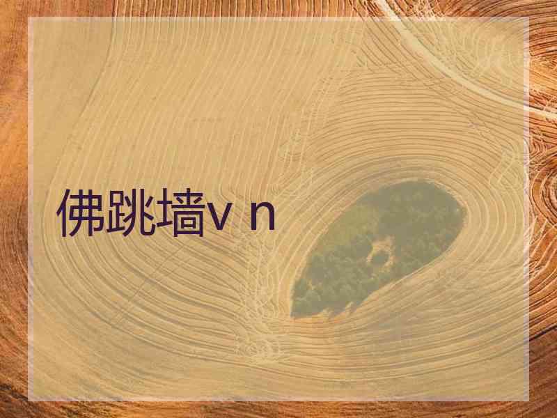 佛跳墙v n