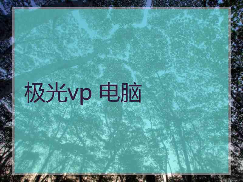 极光vp 电脑
