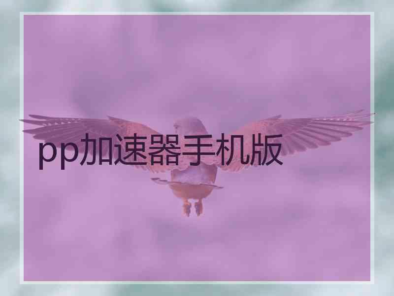 pp加速器手机版