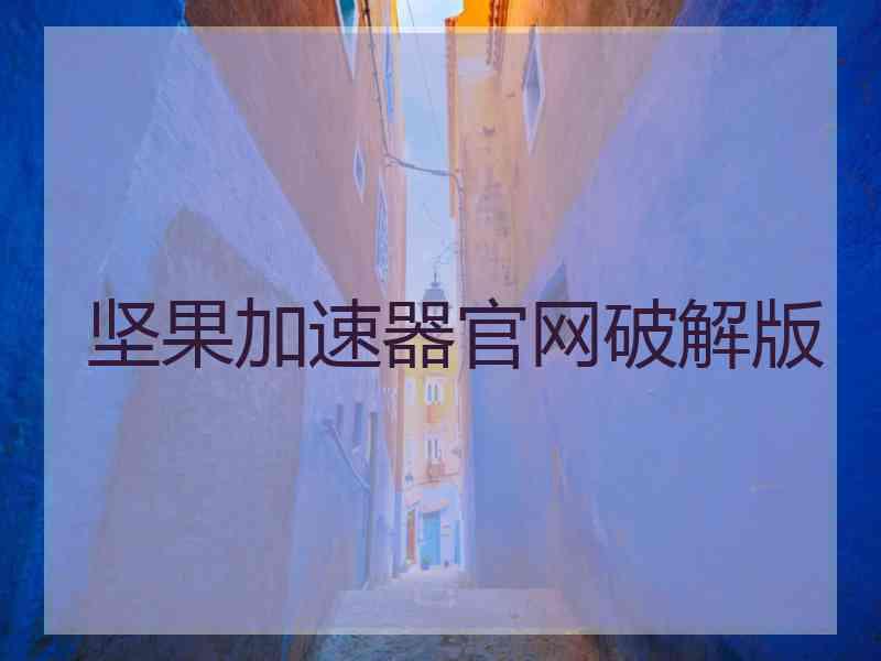 坚果加速器官网破解版
