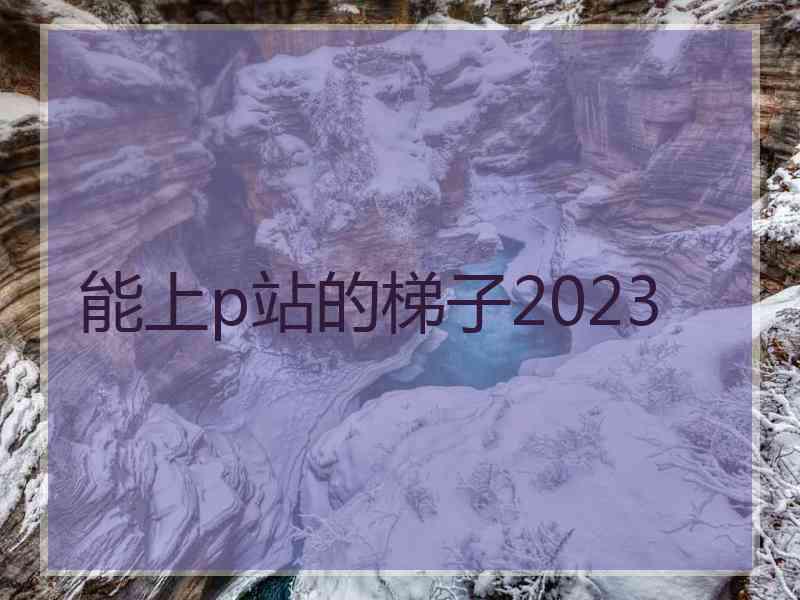 能上p站的梯子2023