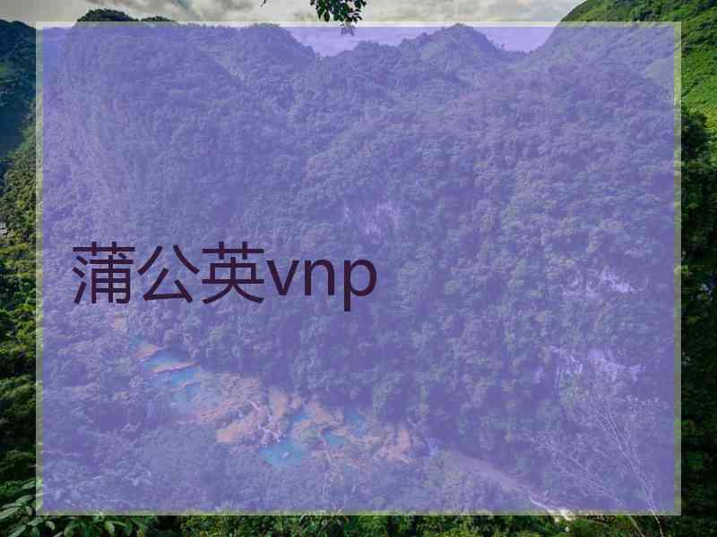 蒲公英vnp