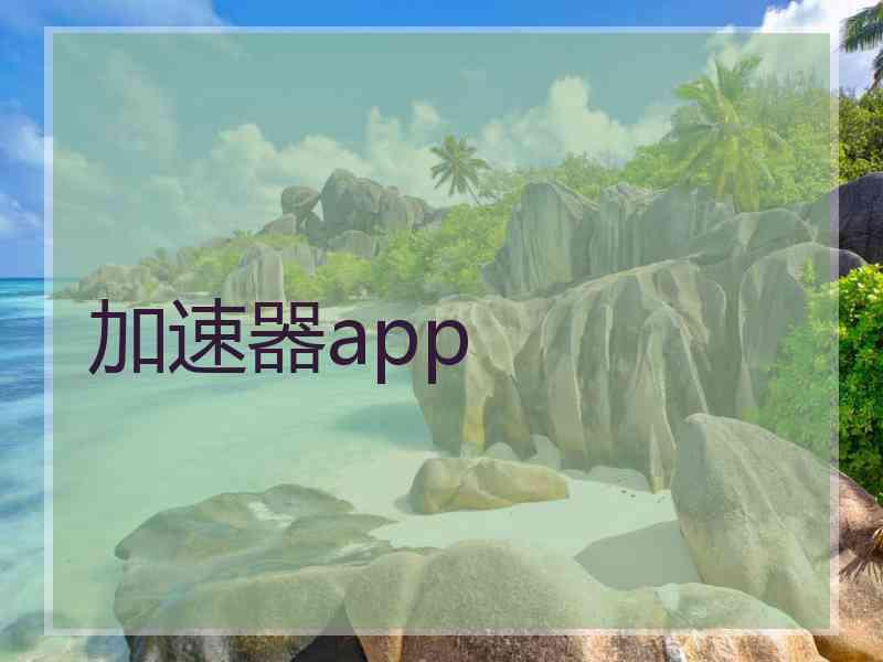 加速器app