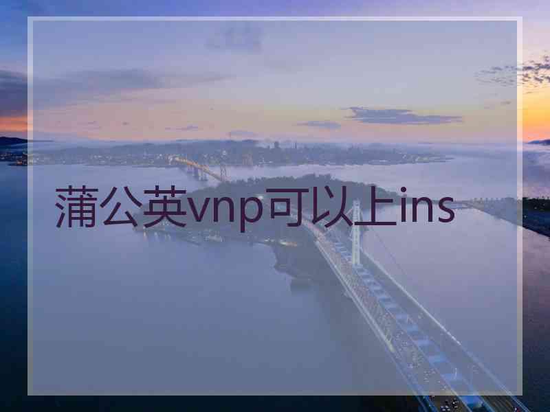 蒲公英vnp可以上ins
