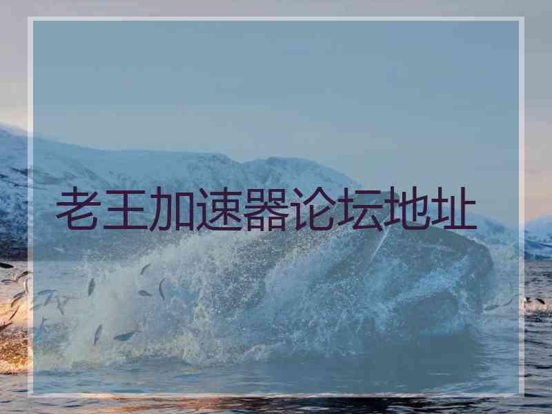 老王加速器论坛地址
