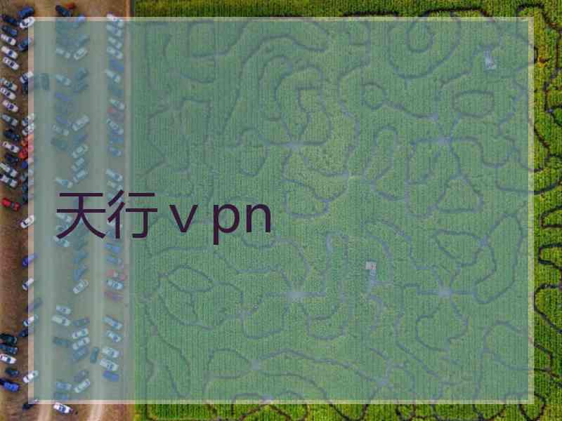 天行ⅴpn