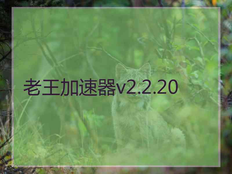 老王加速器v2.2.20