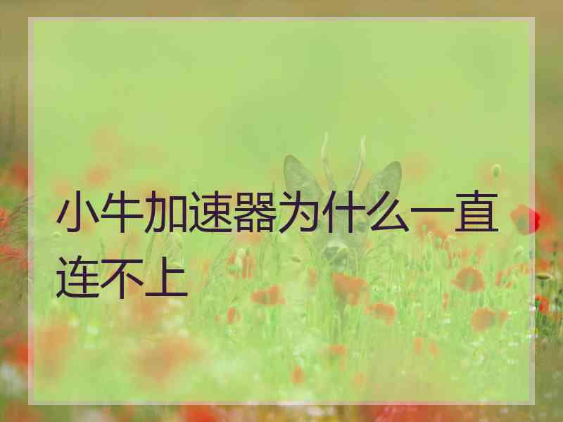 小牛加速器为什么一直连不上