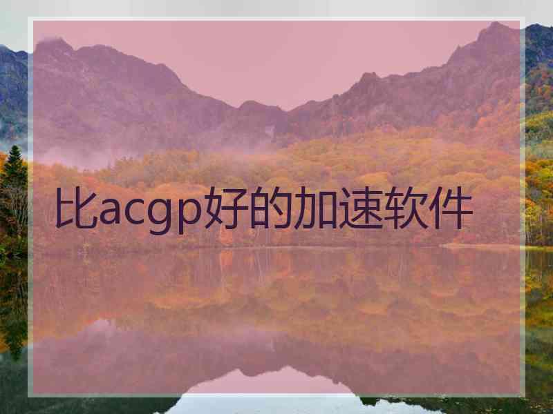 比acgp好的加速软件