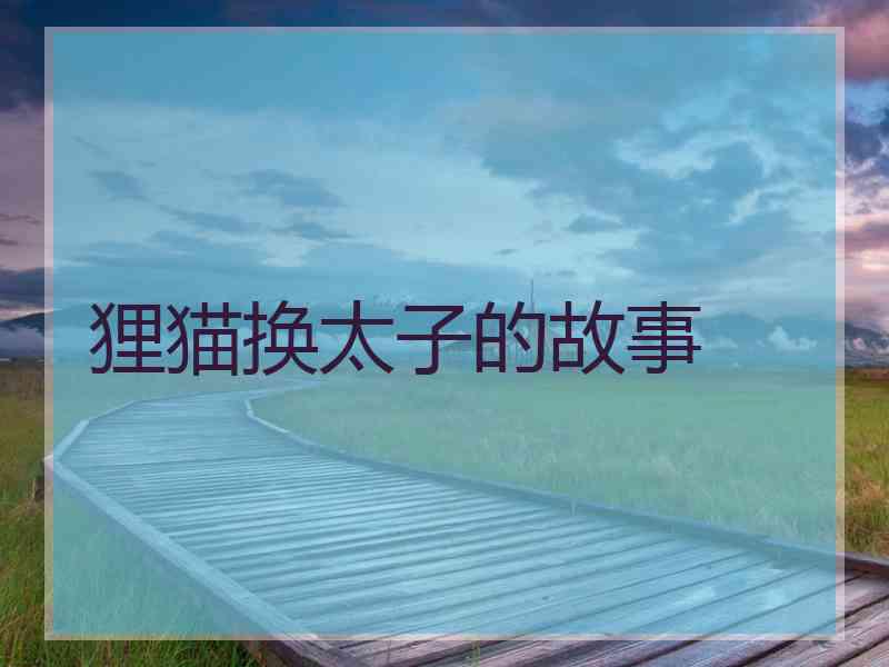 狸猫换太子的故事
