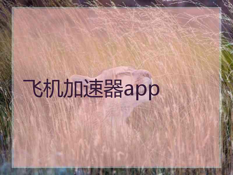 飞机加速器app