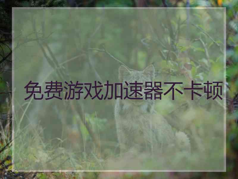 免费游戏加速器不卡顿